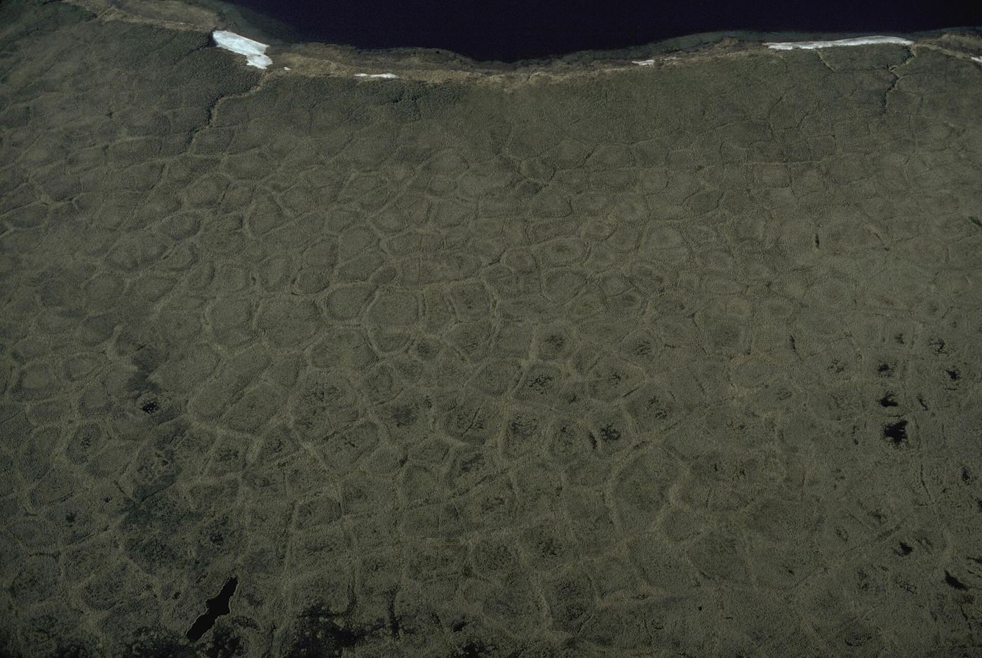 Arctic tundra under a wide sky
